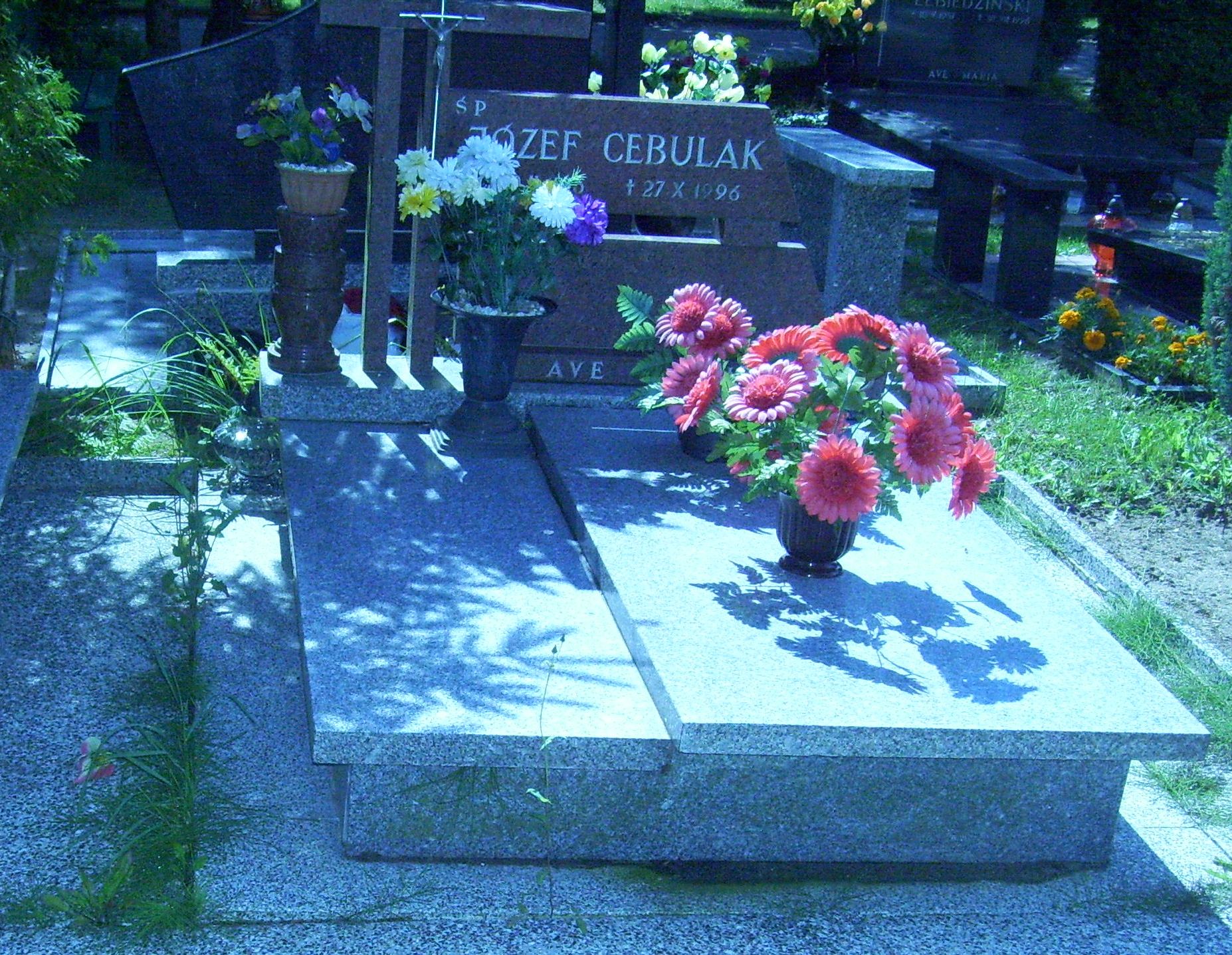 Grób Stanisława Cebulak